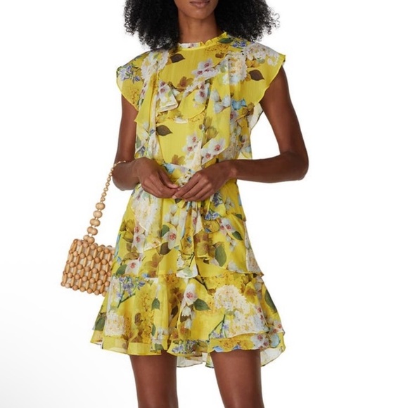 Marissa Webb Dresses & Skirts - Marissa Webb Collective Ruffle Floral Mini Dress sz4